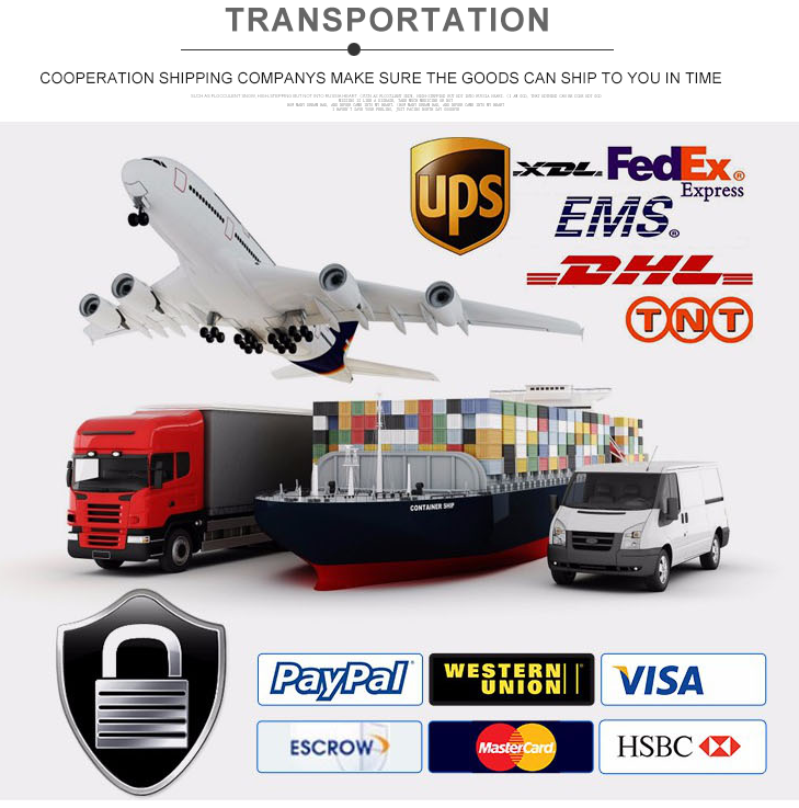 skoocom-transportation skoocom-transportation